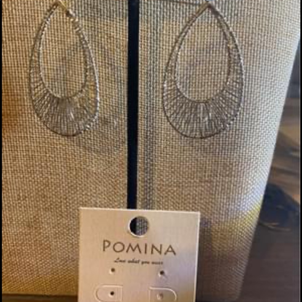 Silver Tone Earrings